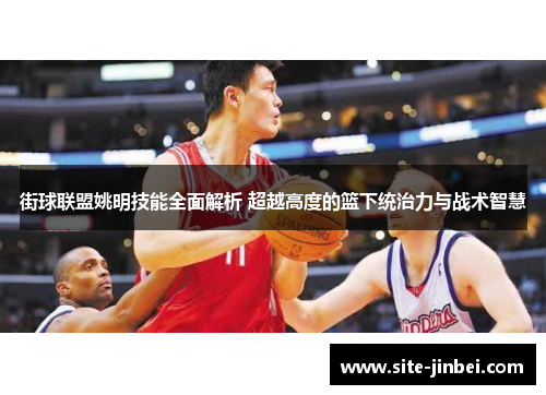街球联盟姚明技能全面解析 超越高度的篮下统治力与战术智慧